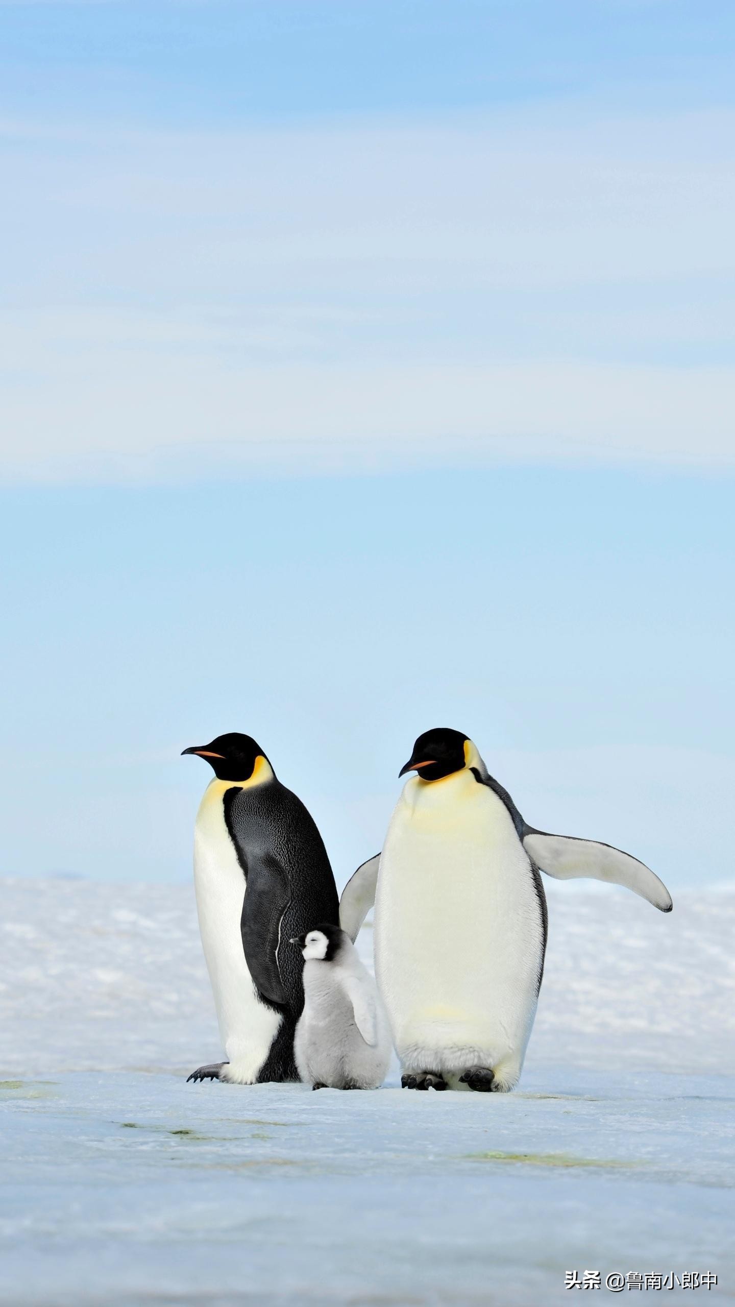 44岁的女人还能要孩子吗,女性35-40岁生的宝宝健康吗