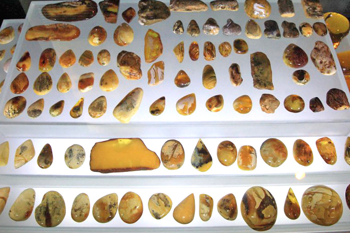 波兰格单斯克琥珀展,波兰琥珀
