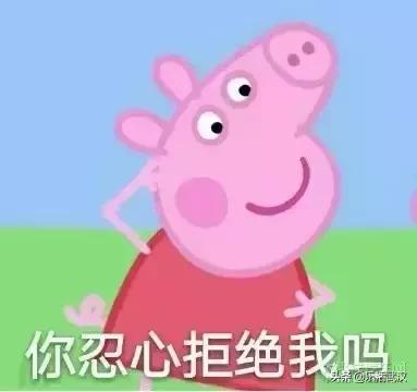 在武汉，这些才是“佩奇”！