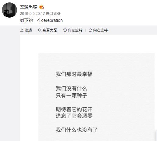 金大川雎晓雯婚后首同框,雎晓雯与金大川举办婚礼事件