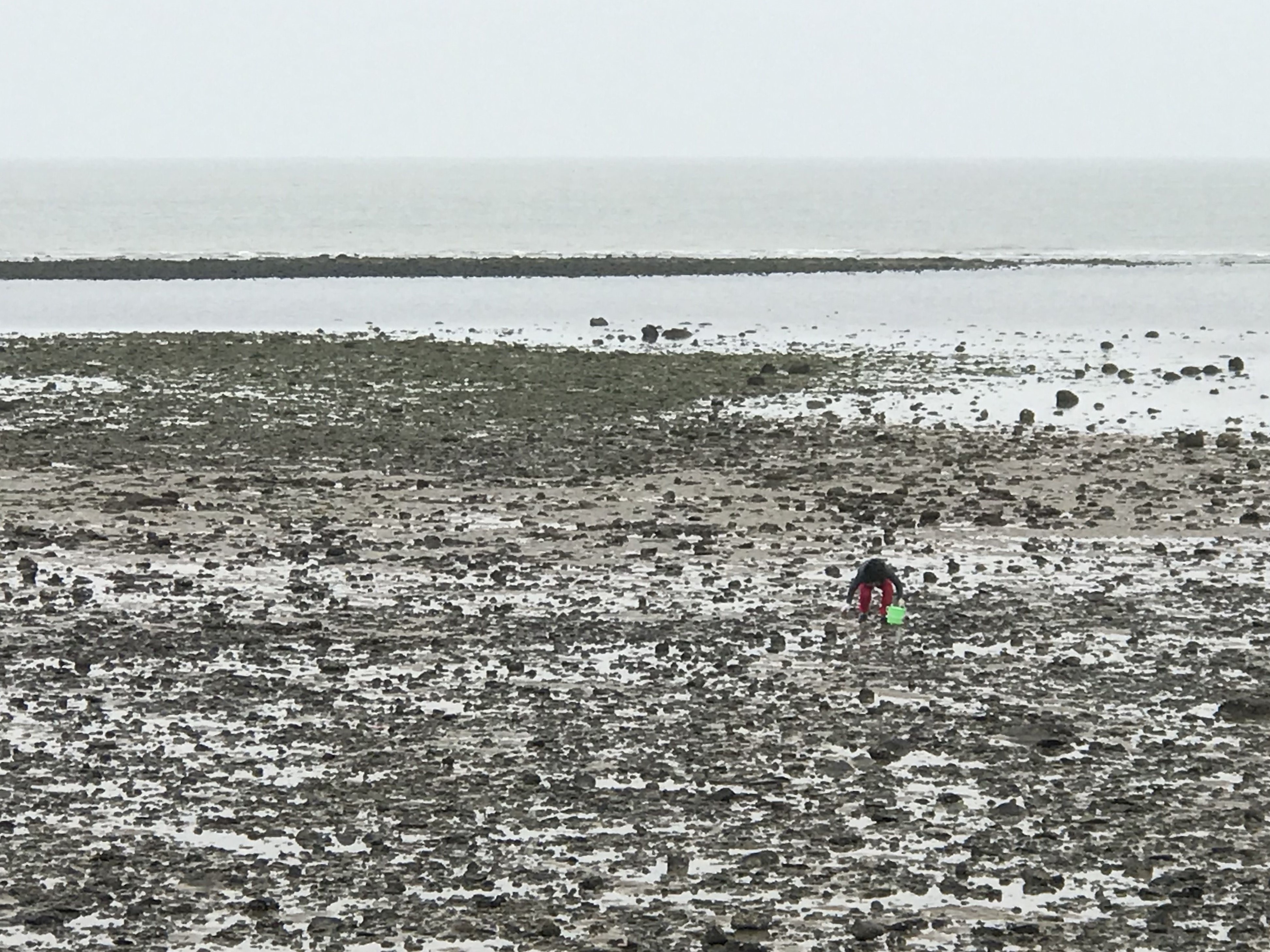 再说房车人是咋算账的；1212房车旅行车的事很担心；赶海