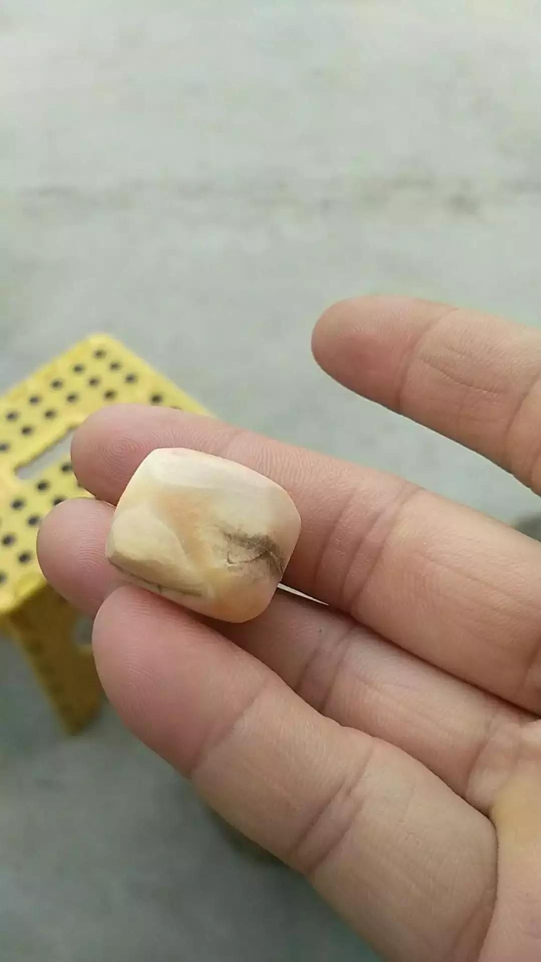 三江纪事｜曾经虎患成灾且看云浮“景阳岗”