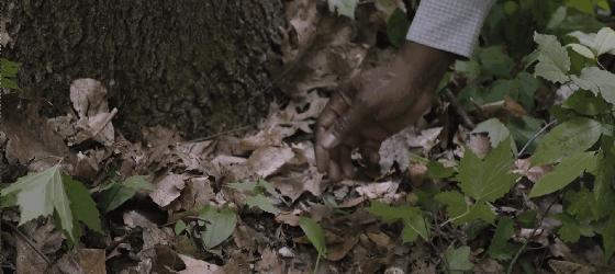 寄生虫解说完整版细思极恐,寄生虫美国电影