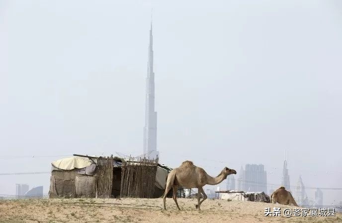 什么是压倒你的最后一根稻草,压垮最后一根稻草是什么意思