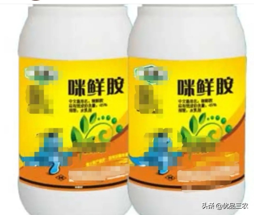 辣椒炭疽病的特效药都在这里了，你以前用对了吗？