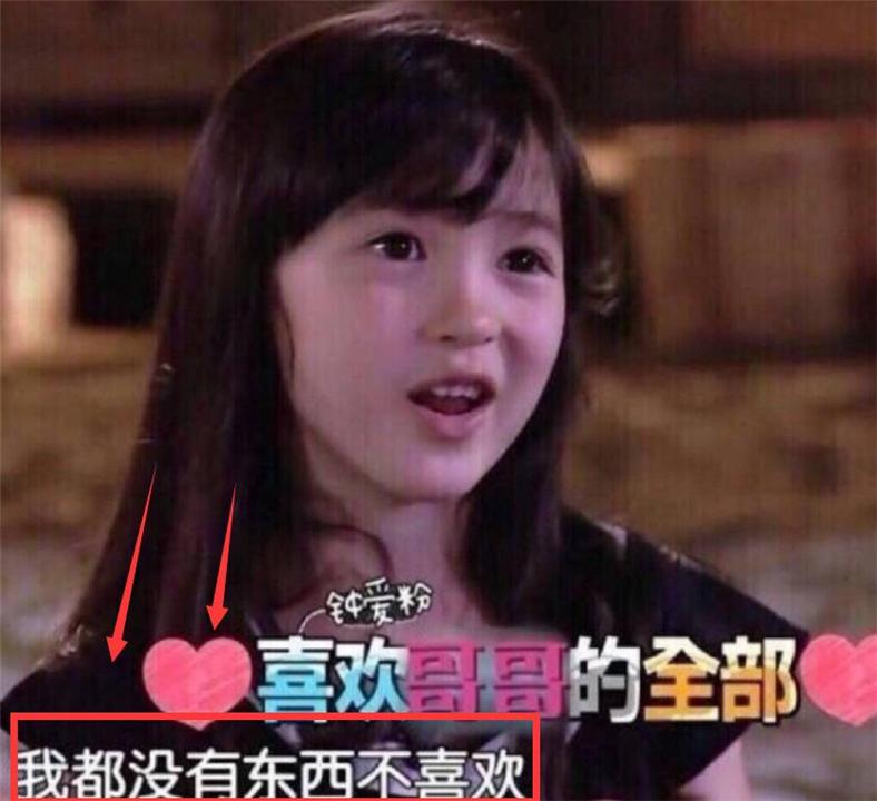 孩子喜欢追星该如何引导,孩子盲目追星父母该如何引导