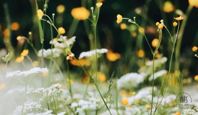 不要过打折的生活是什么意思,不要过打折的生活