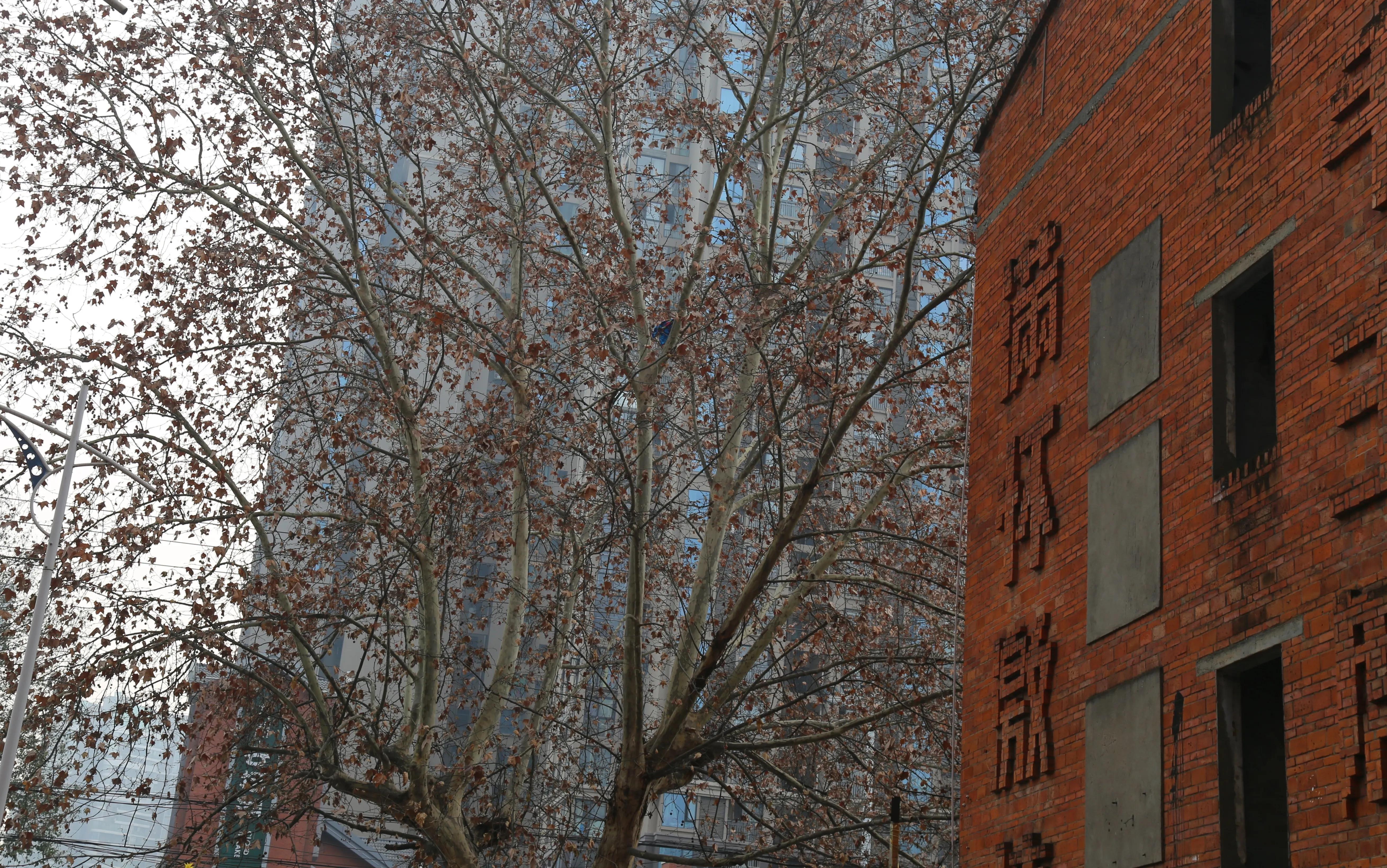 绵阳跃进路有哪些老厂,绵阳跃进路历史街区