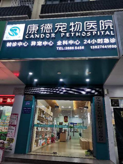 瑞派宠物医院告诉你最牛医院的正确打开方式