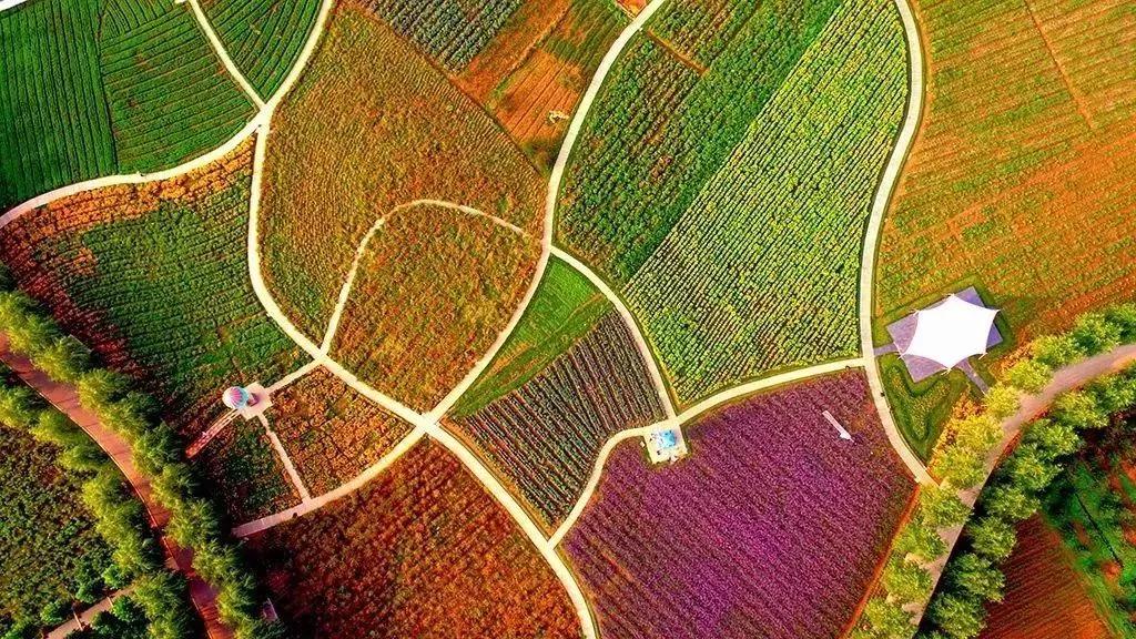 龙园开放了吗,龙园景区最新消息