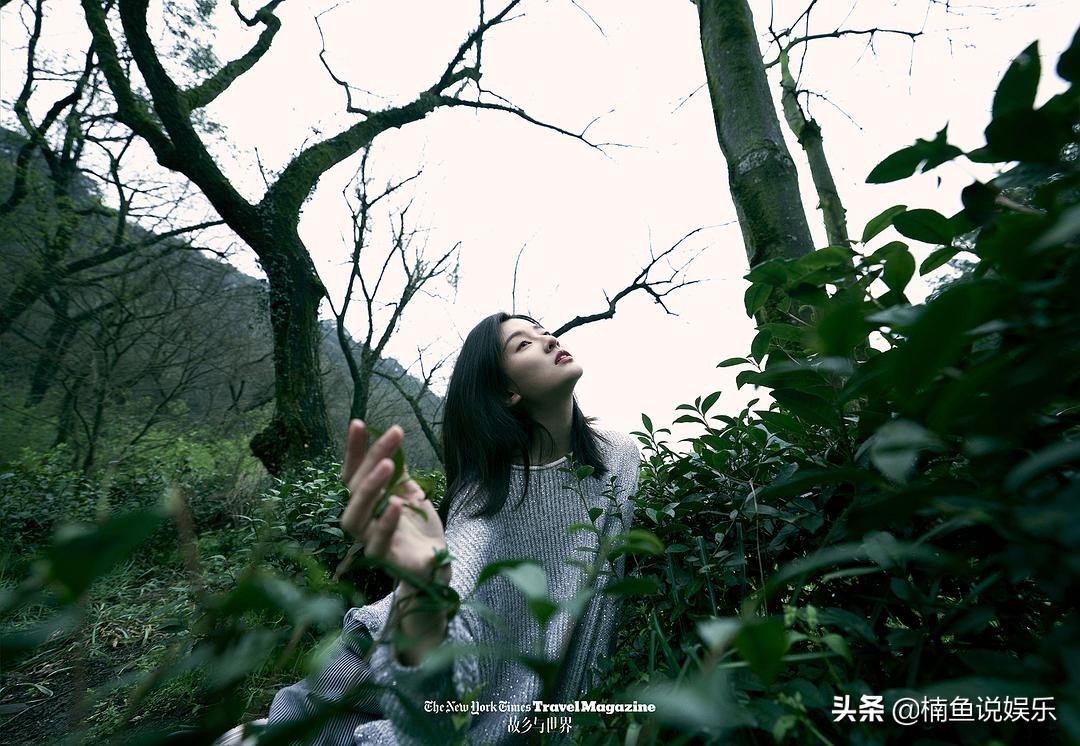 乔欣时尚潮流美图,乔欣清爽写真