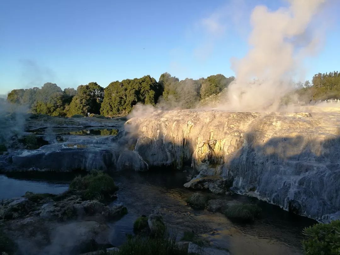 难忘的新西兰之行,在新西兰难忘的日子