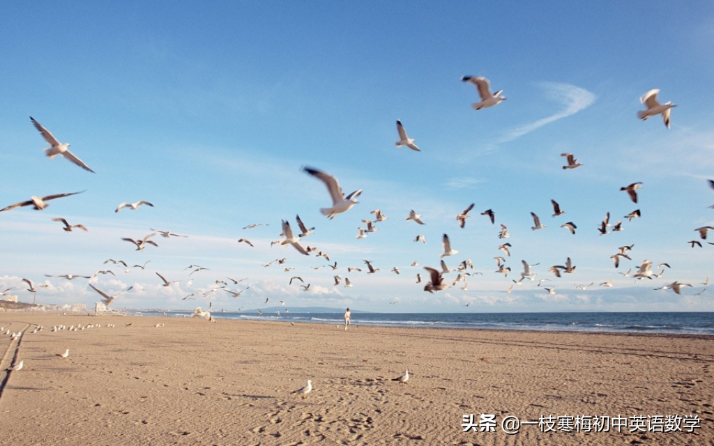 英语应用文经典句型,英语应用文实用句型