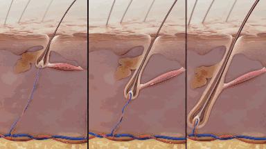 明星袁咏仪代言的防脱洗发水,不输大牌香水的洗发水