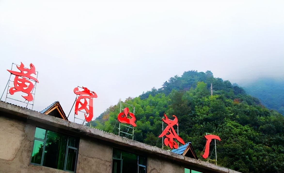 江西武陵红茶,江西最好的红茶