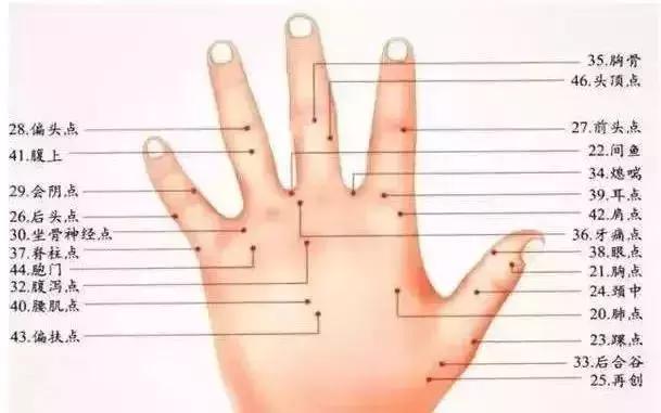 核桃手串和金刚手串哪个好盘,核桃手串盘玩方法