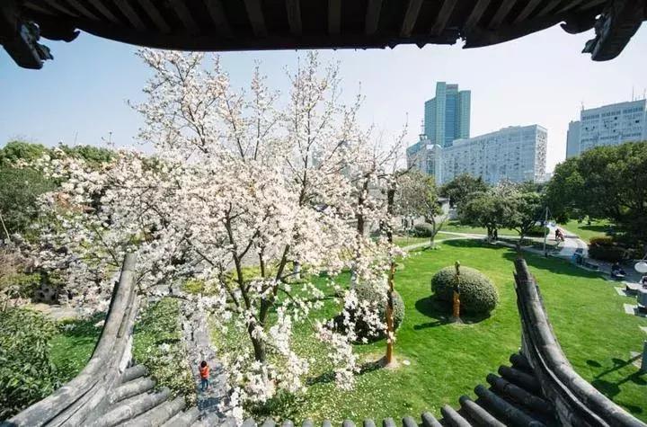 宁波踏春游玩,宁波春游推荐