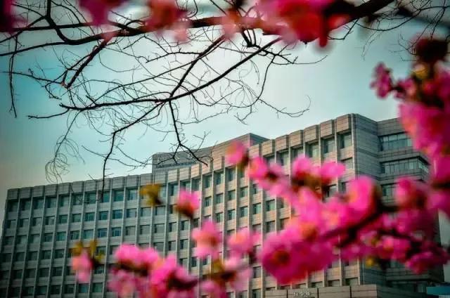 大连海事大学和辽宁省哪个级别高,大连海事大学辽宁省大学排名