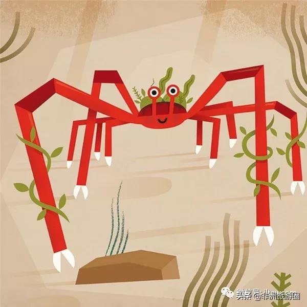 世界的全部动物,全世界的动物都有什么共同点