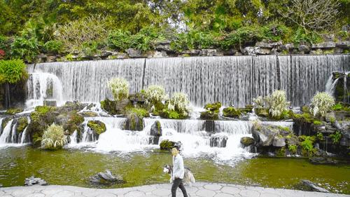 广州的河涌为什么那么脏,广州河涌的源头