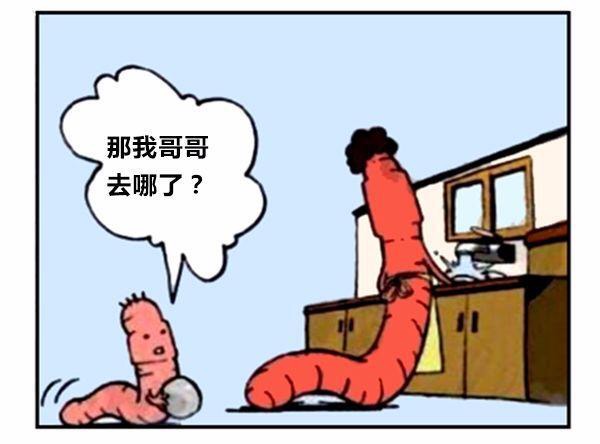 漫画蚯蚓历险记,蚯蚓漫画