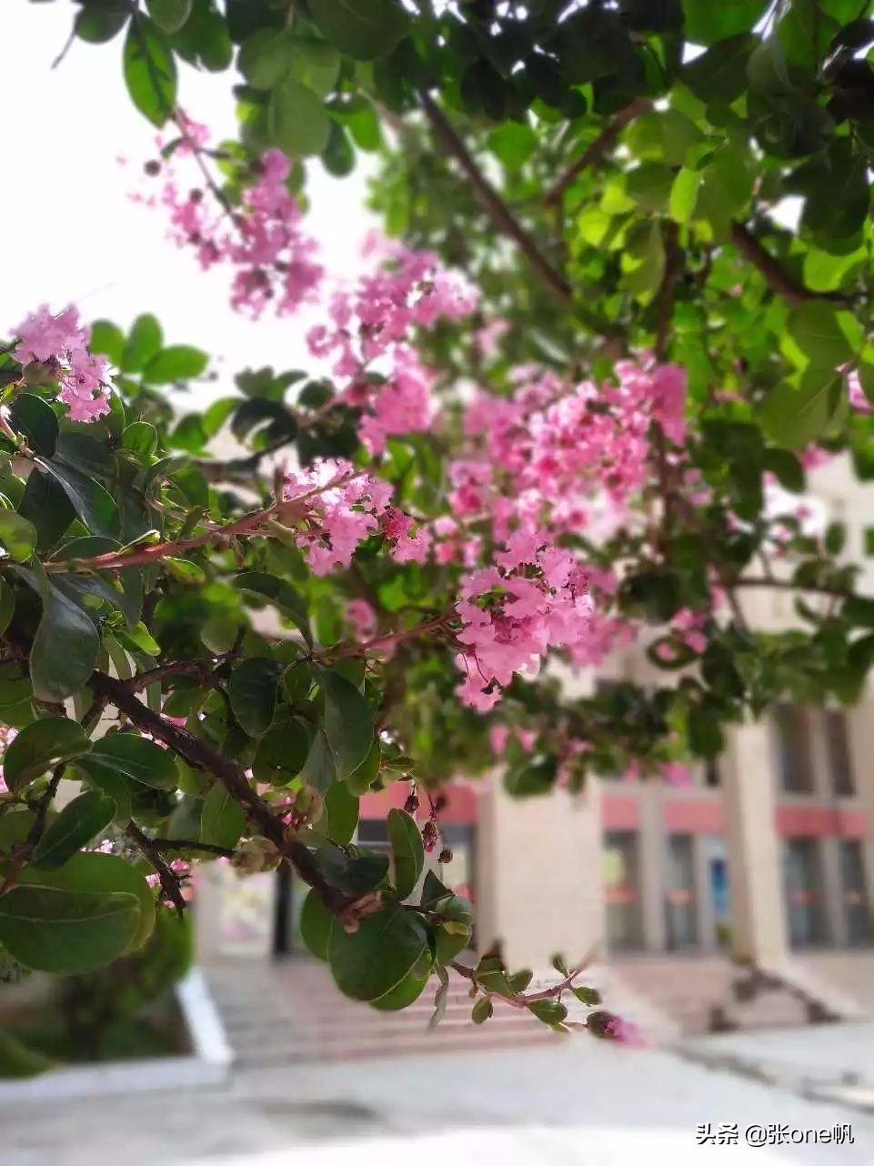 昆明黄冈实验中学高考分数,昆明黄冈实验中学招生简章