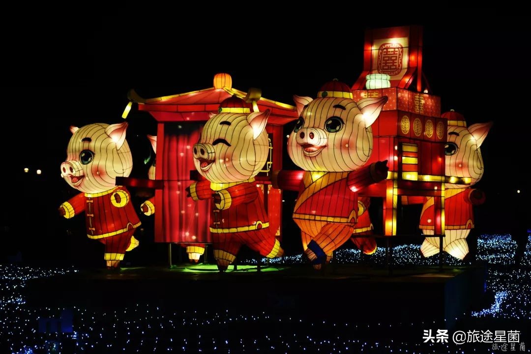 西栅景区攻略,乌镇西栅晚上10点免票攻略