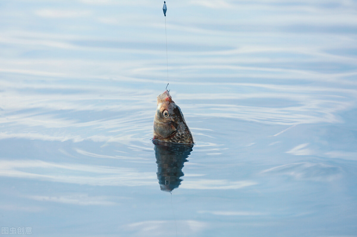 野钓鲫鱼全攻略!13大秘籍,7000字,找鱼窝、选天气,各种小技巧