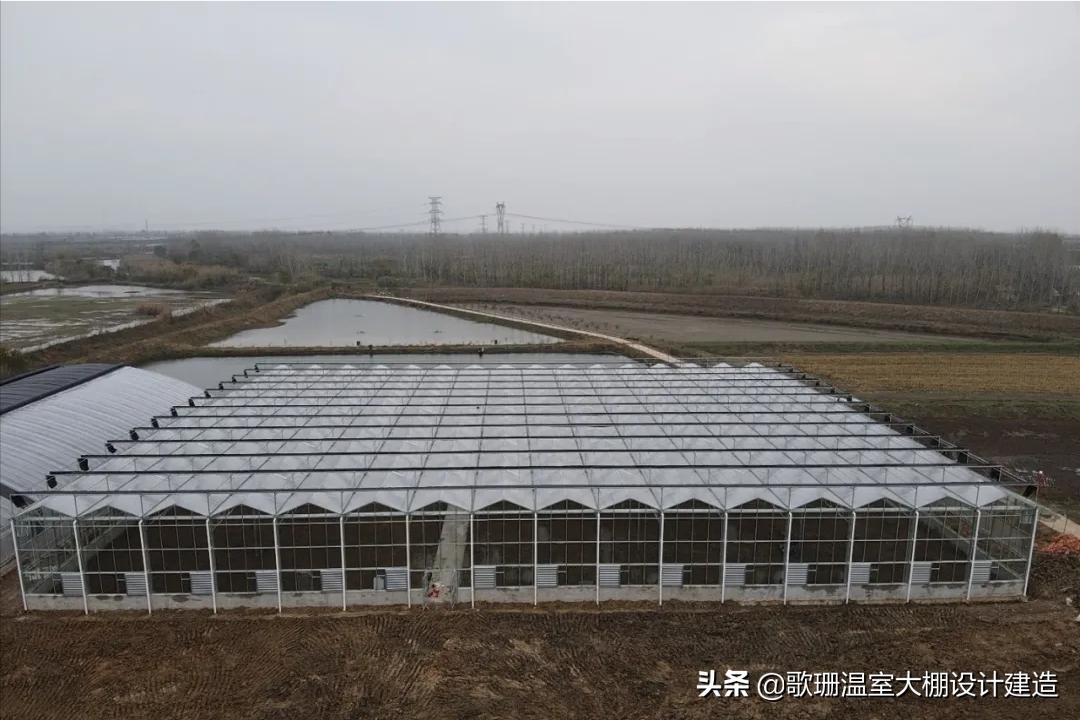 「歌珊温室」温室大棚漏水原因及解决措施