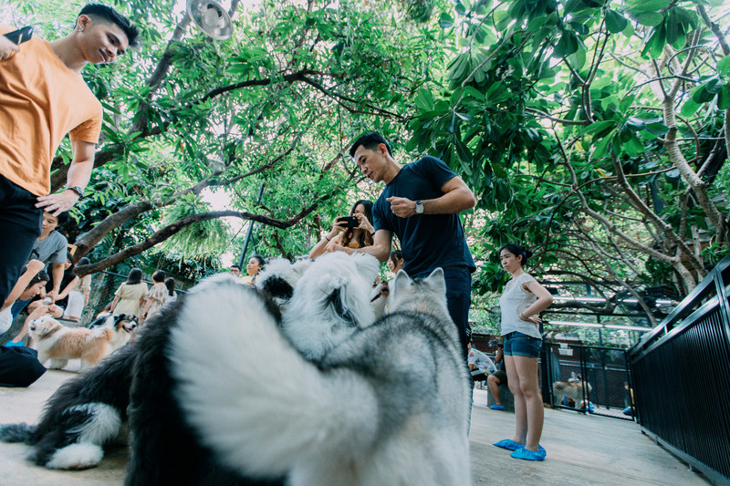 多次曼谷，整理了这份美食攻略，曼谷怎么吃，戳进来
