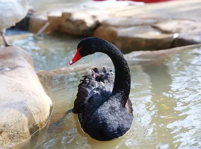 武汉带孩子吃喝游玩地方推荐,武汉吃喝玩乐指南