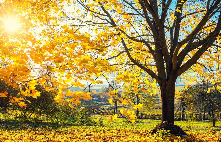 心理测试测你哪方面最出众神准,每日一测此刻时间超准心理测试