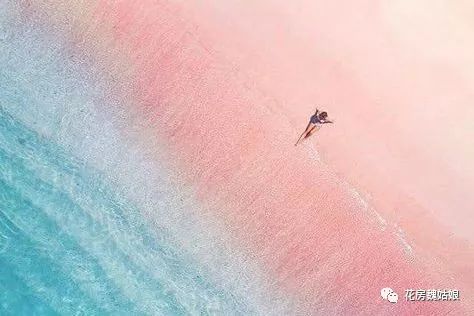 签证涨价,申根签证面签攻略最新