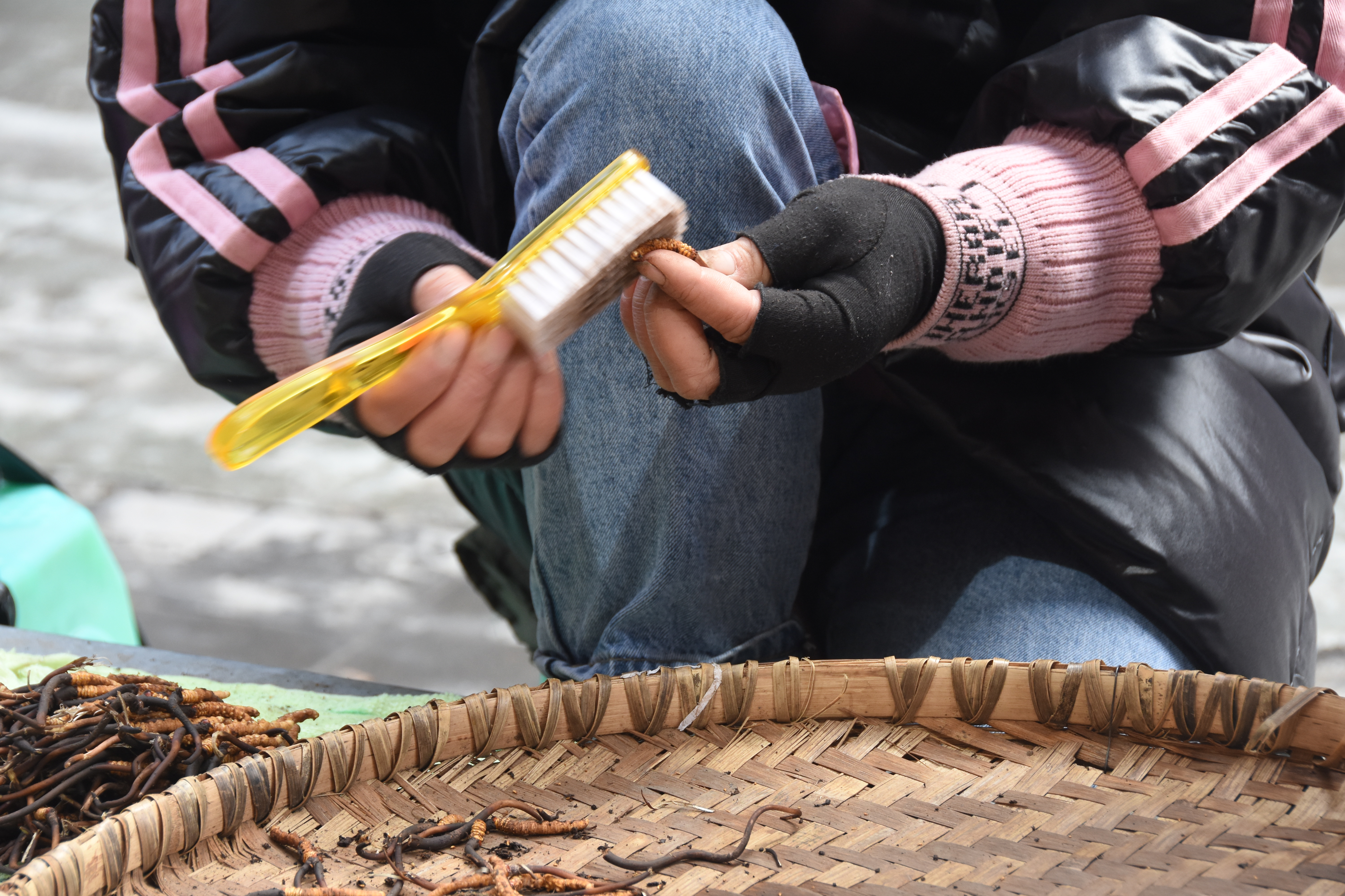 逆势上扬顺势而为蓄势待发,逆势回升北上资金再次杀回创业板