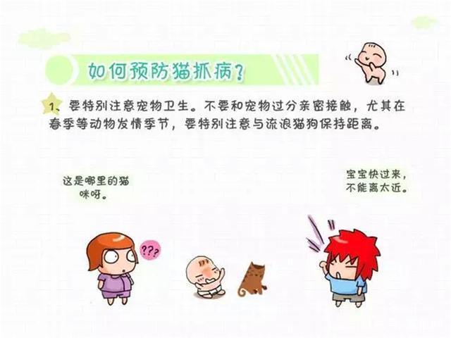 被猫抓了后发烧了怎么办,被宠物猫咬出血了要打狂犬疫苗吗