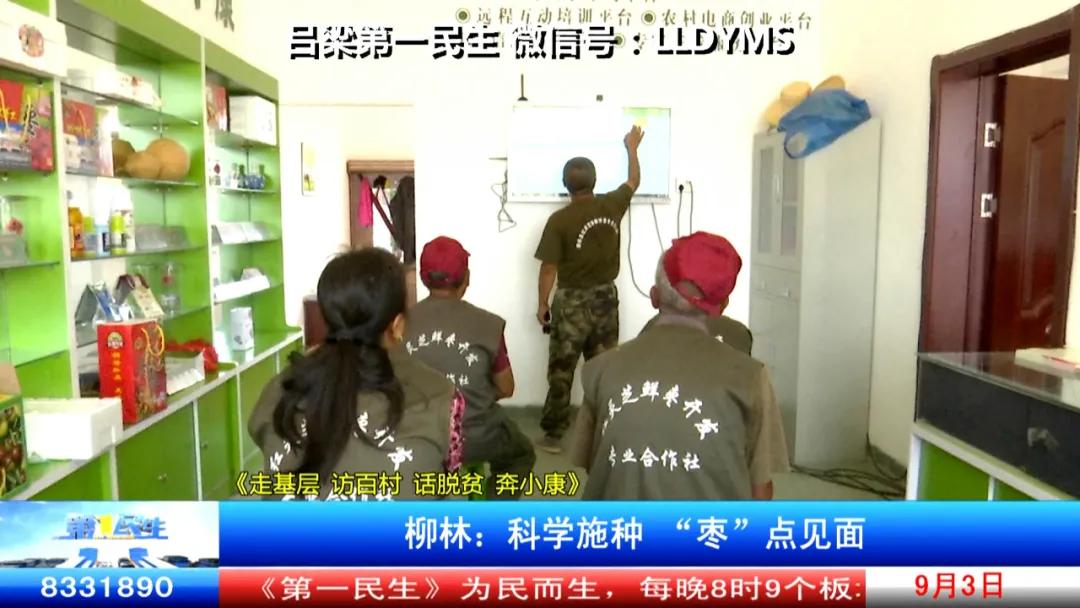 柳林：科学施种“枣”点见面