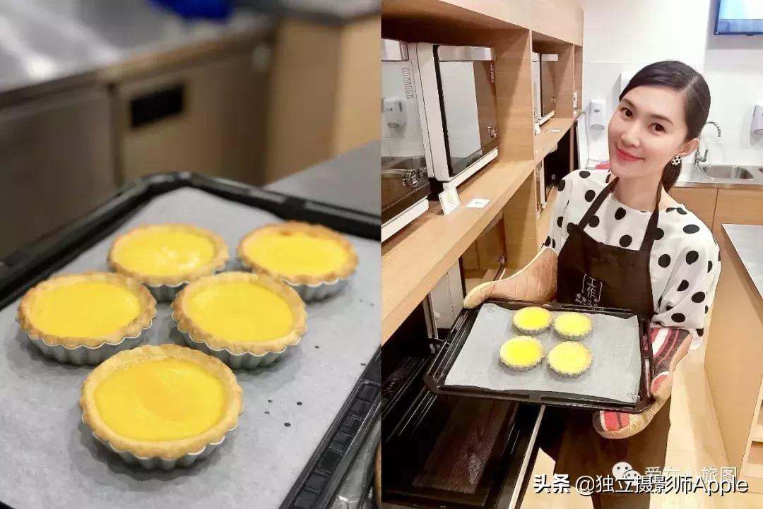 香港海洋公园自由行游玩攻略,香港旅游攻略香港海洋公园