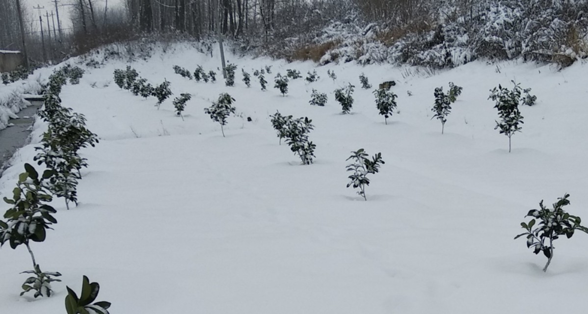 在农村用土地怎么创业,中年人在农村如何创业