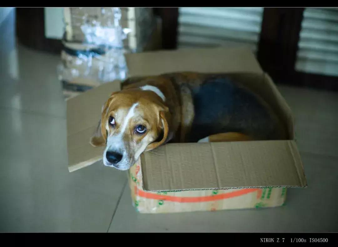 七工匠m75mm摄影成功了吗,七工匠35mmf1.4和50mmf1.8选哪个