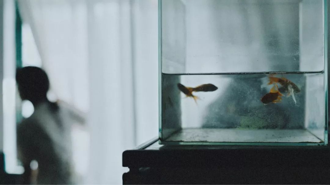 最好听的微信名是什么样的,你的微信名说明了什么