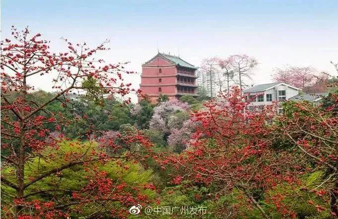 广州日常生活攻略,广州生活必知道的50个小知识