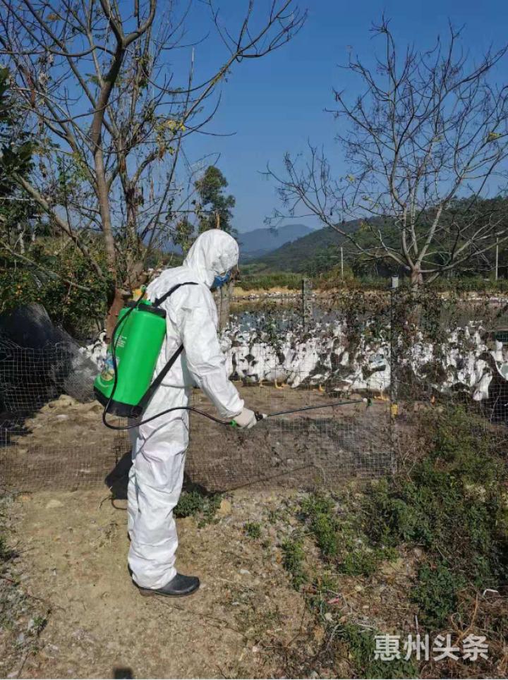 惠州疾控防控措施,惠州最新防控要求