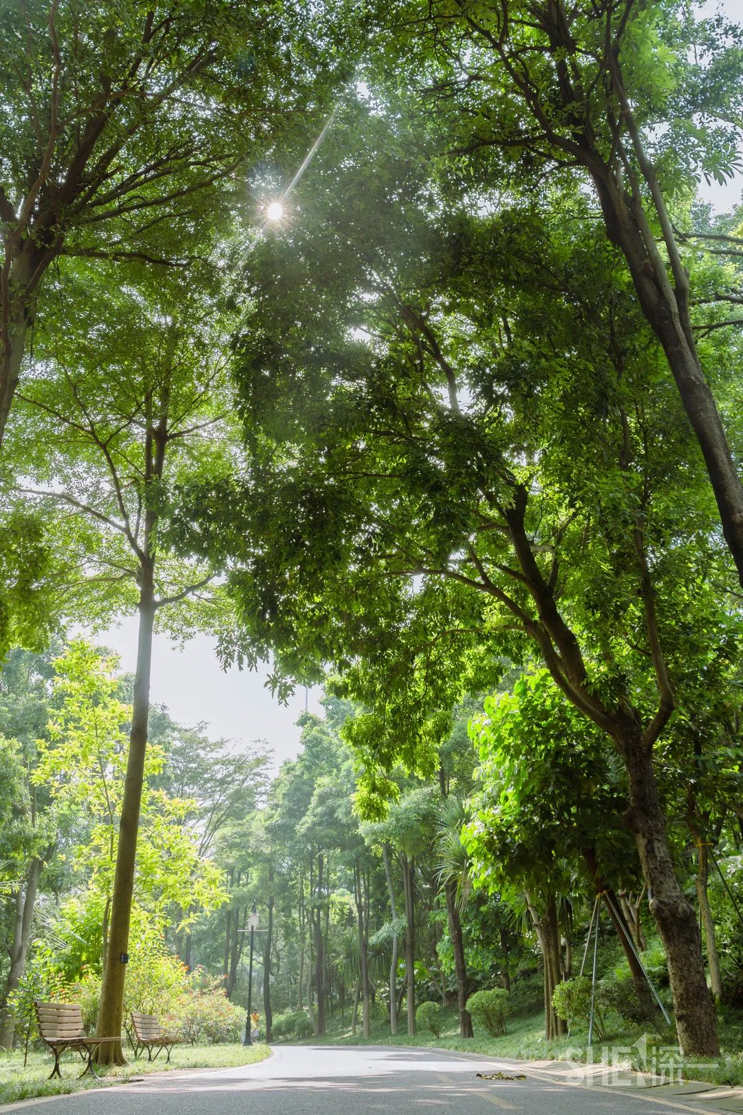 深圳疫情过后的商业街景,疫情过后深圳哪个商场最好