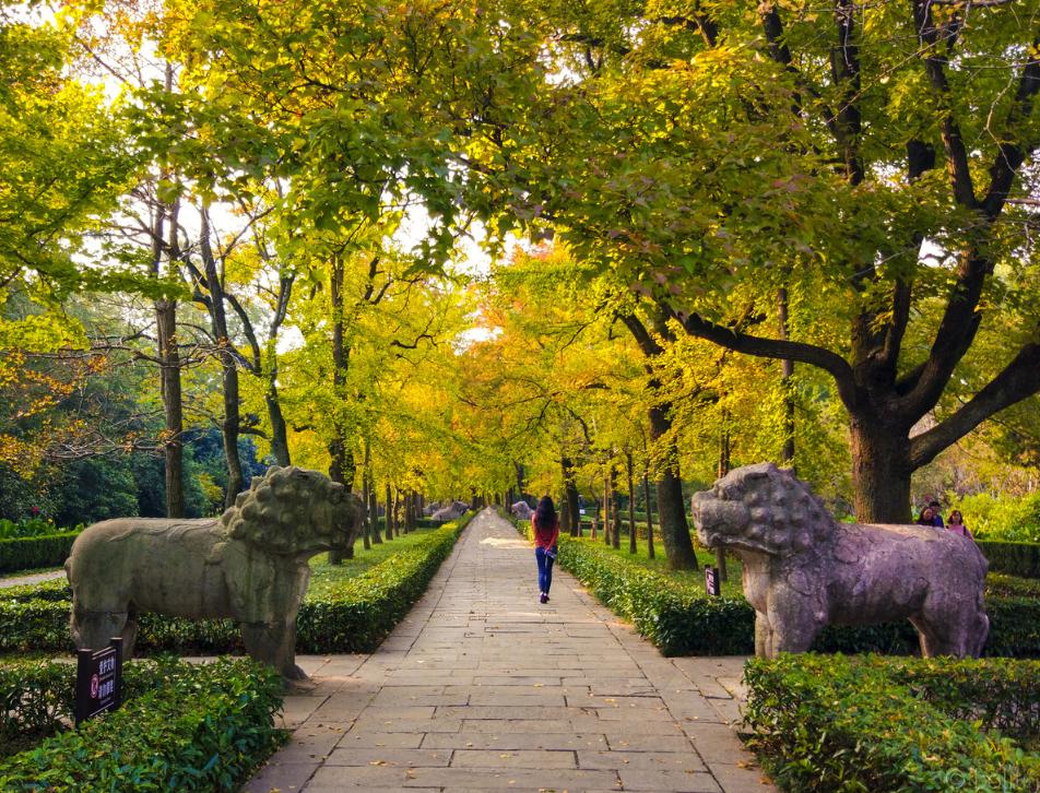 南京为什么叫金陵城视频,南京为何很多地方叫金陵