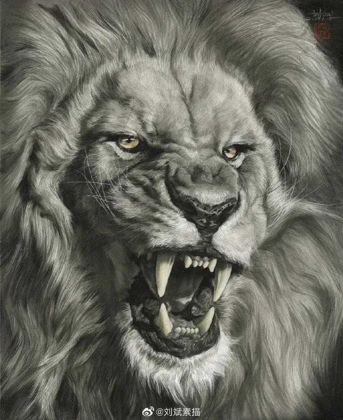 刘斌素描全过程,刘斌素描的技法