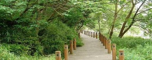 江门60岁以上免费景点有哪些,江门旅游景点推荐网红打卡点