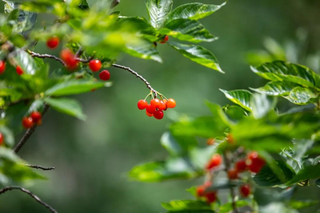 挡不住的惬意！来博山这个私藏胜地，带你过向往的生活