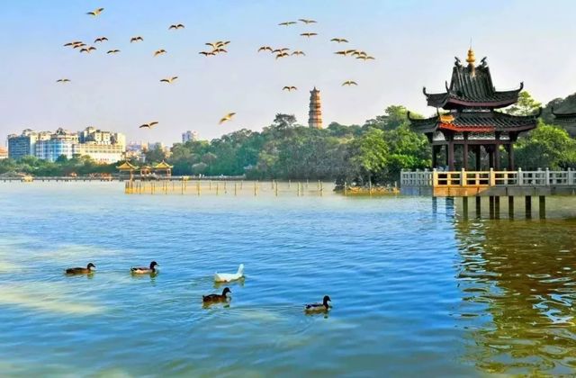 梅州开通新高铁路线,广州梅县高铁1.5小时通车