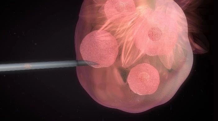 閫熺湅citrus,閫熺湅璧勮