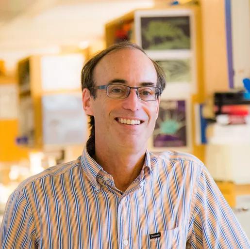 26岁一年4篇Cell！他的经验发表在IF36.13期刊上